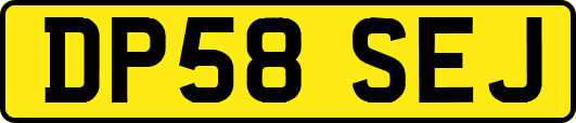 DP58SEJ