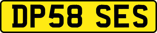DP58SES