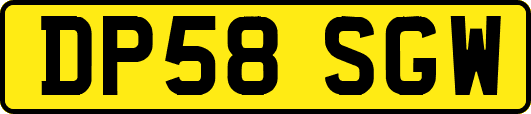DP58SGW