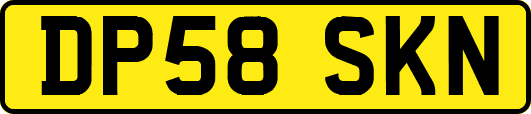 DP58SKN