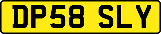 DP58SLY