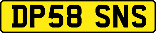 DP58SNS