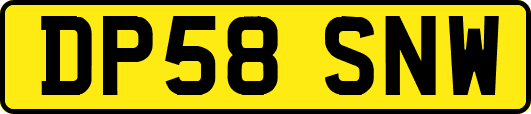 DP58SNW
