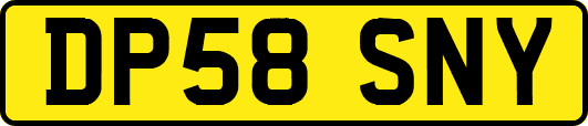 DP58SNY