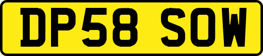 DP58SOW