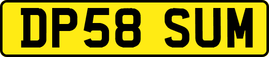 DP58SUM