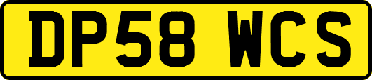 DP58WCS