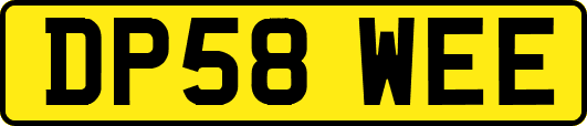 DP58WEE