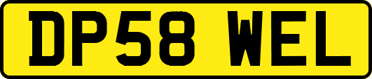 DP58WEL