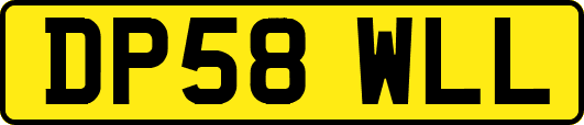 DP58WLL