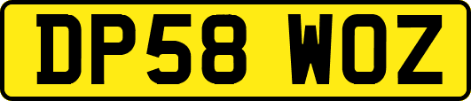 DP58WOZ