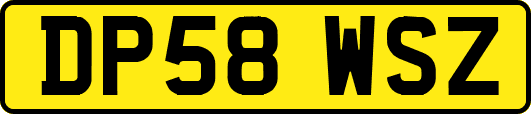 DP58WSZ