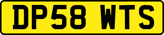 DP58WTS