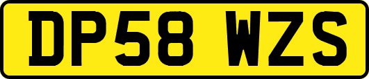 DP58WZS