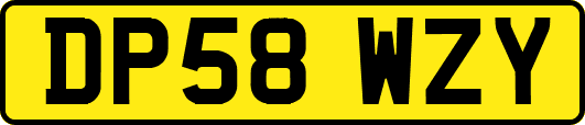 DP58WZY