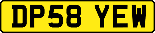 DP58YEW