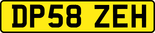 DP58ZEH
