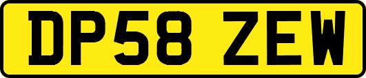DP58ZEW