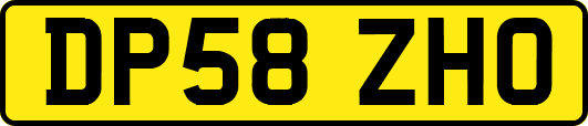 DP58ZHO