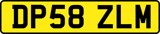DP58ZLM