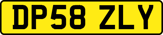 DP58ZLY