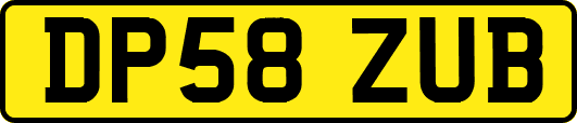 DP58ZUB