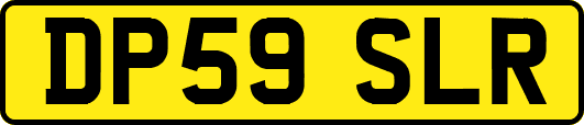 DP59SLR