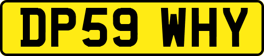 DP59WHY