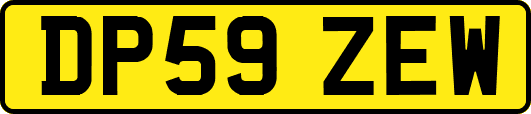 DP59ZEW