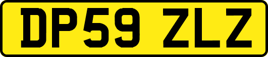 DP59ZLZ
