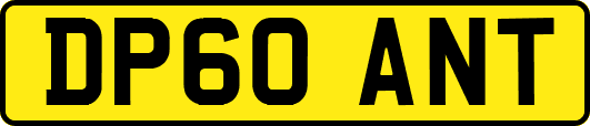 DP60ANT