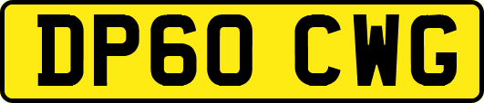 DP60CWG