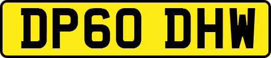 DP60DHW