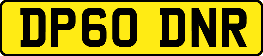 DP60DNR