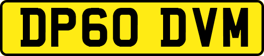 DP60DVM