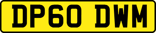 DP60DWM