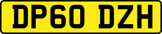 DP60DZH