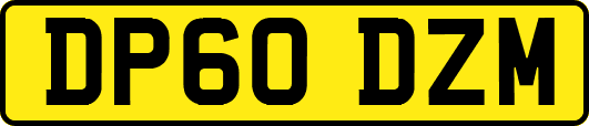 DP60DZM