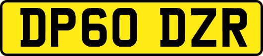 DP60DZR