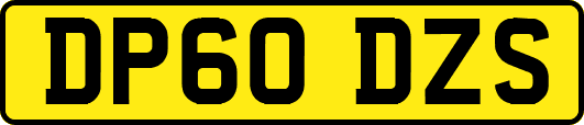 DP60DZS