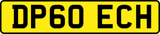 DP60ECH