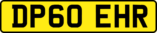 DP60EHR