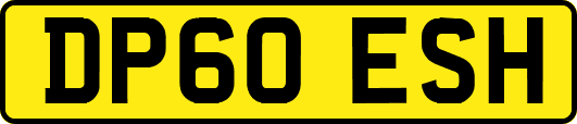 DP60ESH