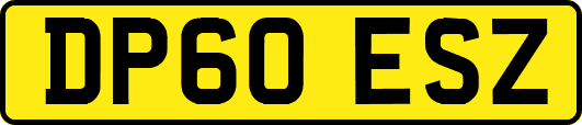 DP60ESZ
