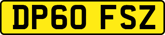 DP60FSZ