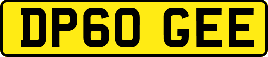 DP60GEE