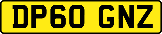 DP60GNZ