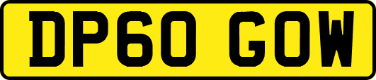 DP60GOW
