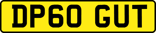 DP60GUT