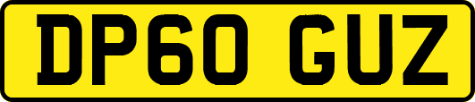 DP60GUZ